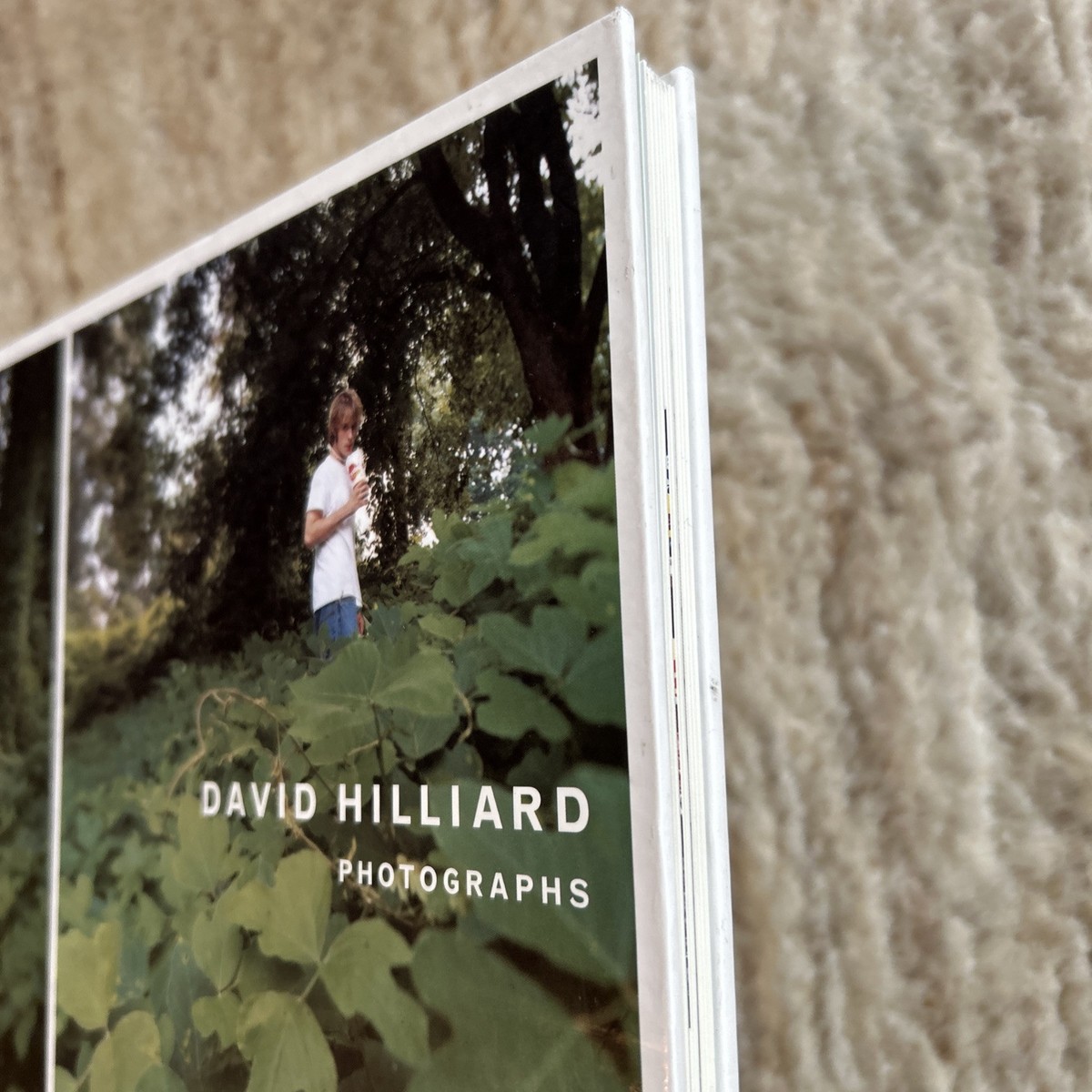 David Hilliard Photographs 9781931788588| eBay