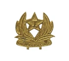 WW2 Indian Intelligence Corps Collar Badge #11