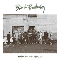 Budwig Bart - Another Burn On The Astroturf - Vinyl Record - G1398Z