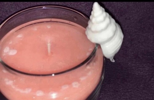 Yankee Candle SHELL Jar Cling VHTF - Picture 3 of 4