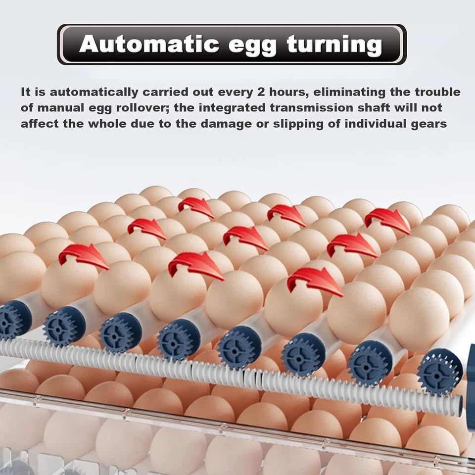 Vollautomatische Brutmaschine 192 Eier Inkubator Brutautomat Egg Incubator DE - Bild 4 von 4
