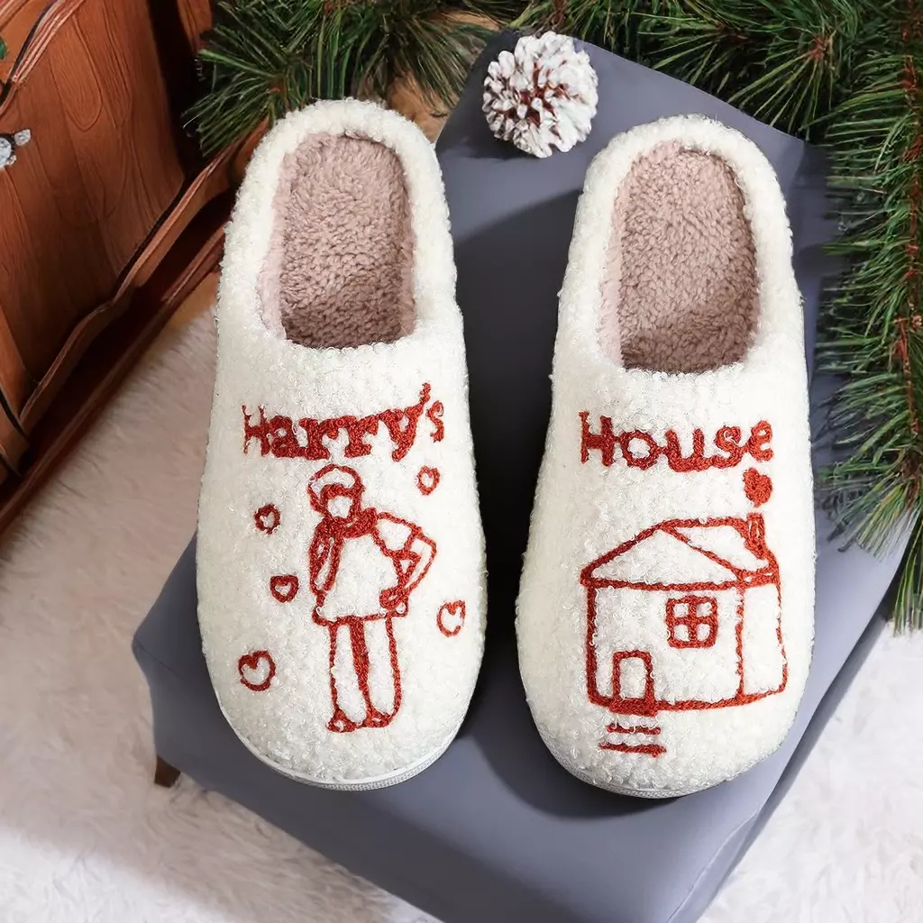 Slippers house hotsell