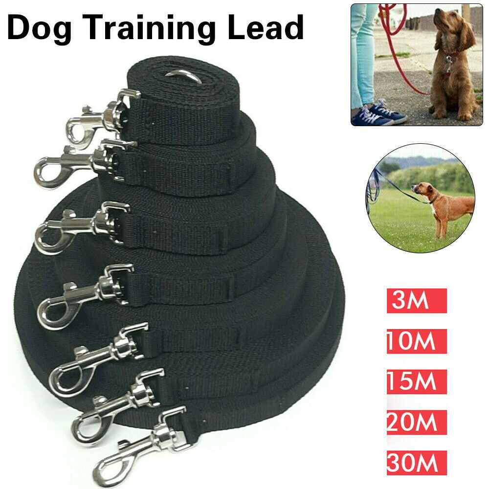 20m extendable dog lead