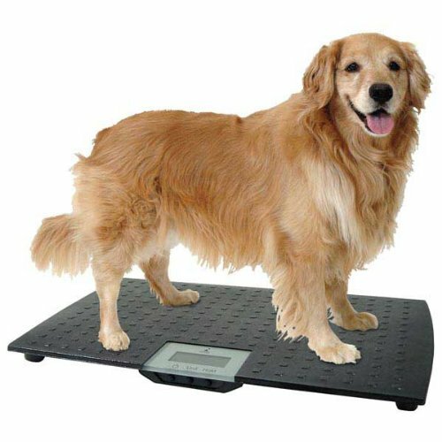 Large Digital Pet Scale Precision 225 lbs Dog Cat Pound Kilogram Weight Memory - Bild 2 von 12