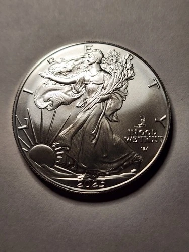 2025-(P) 1 oz American Silver Eagle Coin BU (Eagle Privy)