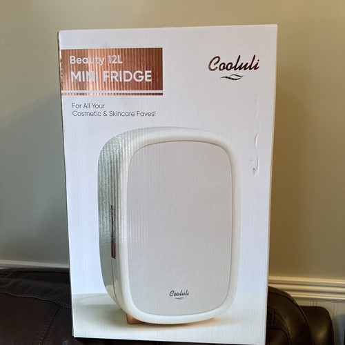 Portable Mini Fridge