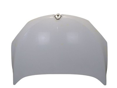 Motorhaube 369 Blanc Glacier Arktis-Weiss passt für RENAULT  MEGANE III