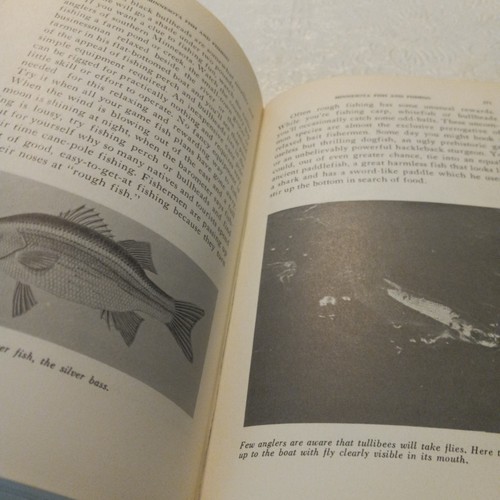 Minnesota Fish and Fishing / Kit Bergh / 1958 / hardback - Picture 8 of 9