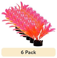 6 pack Bright Plant Assortment
