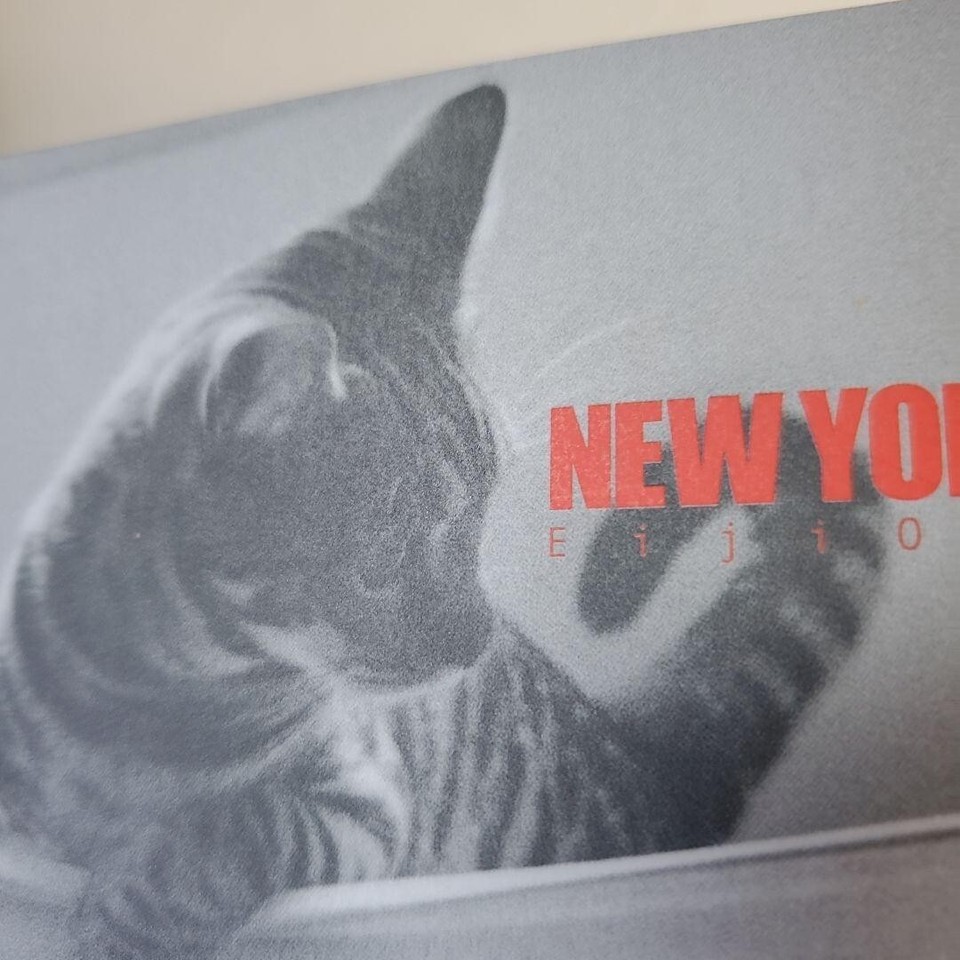 BANANA FISH New York Sense Reprint Bonus Eiji Okumura First Photobook