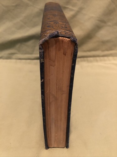 1930's Vintage The Standard American Encyclopedia Volume XI (11) REM-SIG - Foto 6 di 12