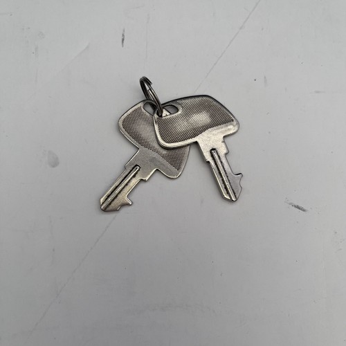 Tec Key 2000 TEC 8R Cash Register Keys Set of 2 8R204 Sold As Is B5 | eBay