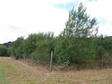Photo 6x4 Deer Proof fencing, Eridge Park Frant  c2009