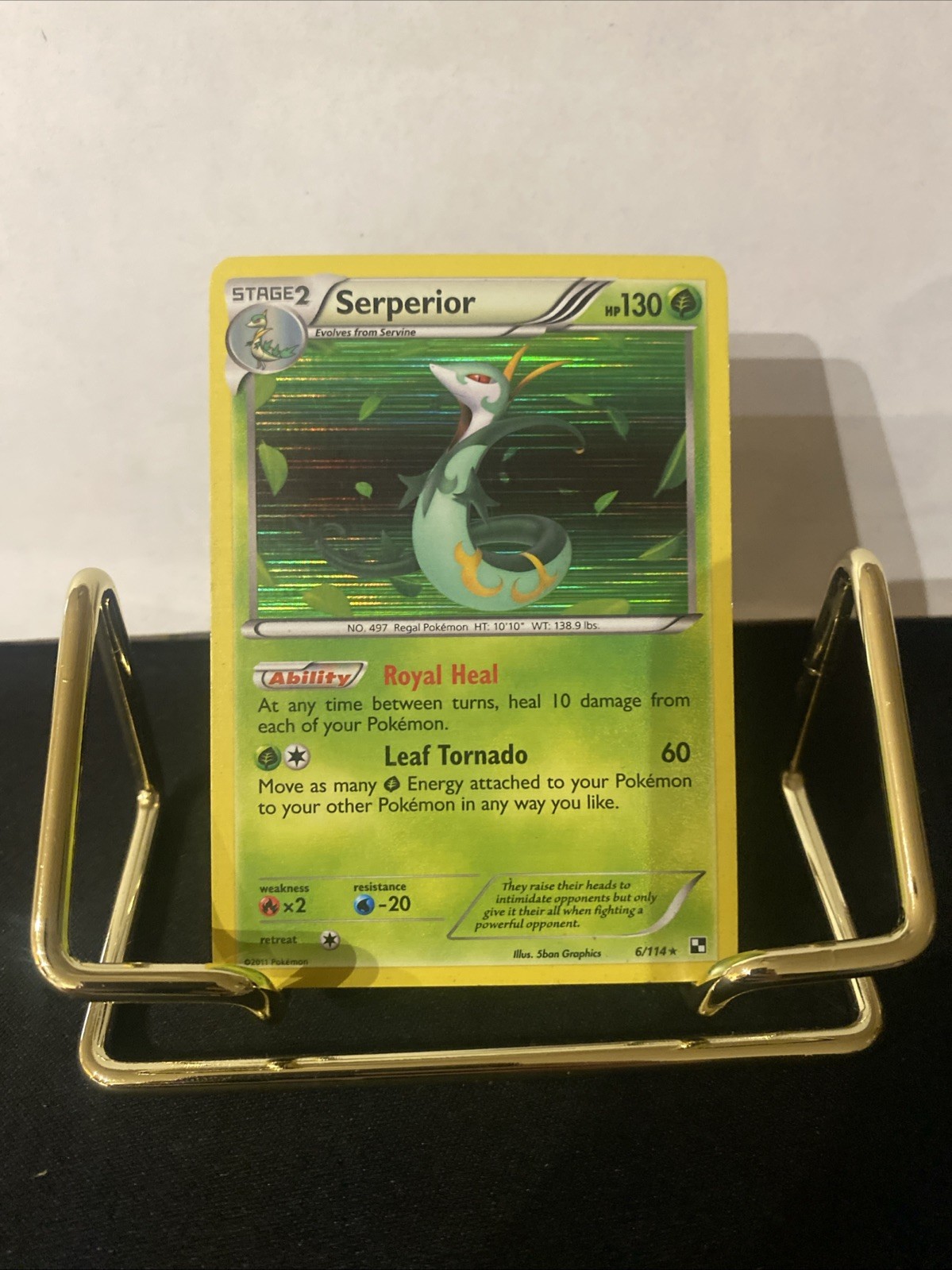 Serperior 6/114 Black & White Holo