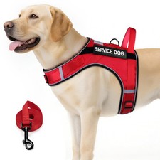 Service Dog Vest Leash Set Red Air Mesh Harness for Large Dogs XL Size
