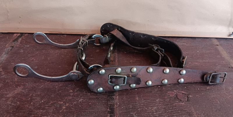Vintage Leather Bridle w/ Hackmore Bit, Silver studded, NO RESERVE