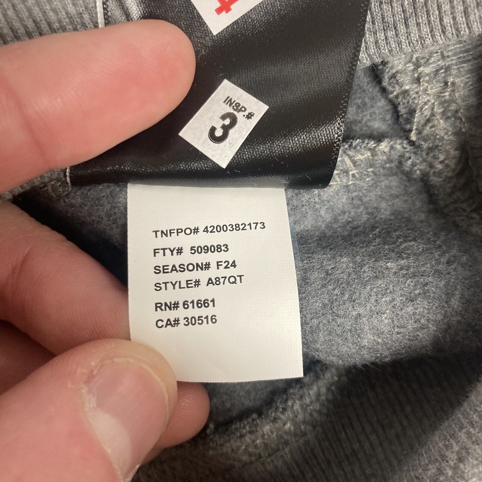 NEW The North Face Pullover Hoodie Large Novelty Graphic Bear Grey