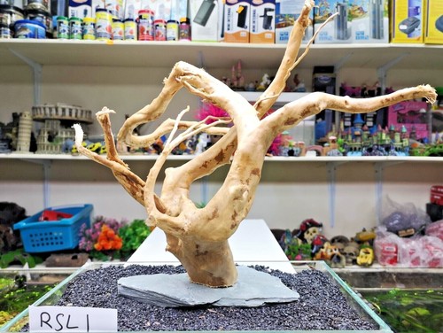 RED MOOR on SLATE wood bogwood driftwood aquariums vivariums REDMOOR - 第 5/33 張圖片