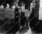 ] 3 Stooges Moe, Larry, Shemp short subject film Hold That Lion - 8303-020