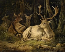 1800s Deer in Forest Moody Vintage painting poster print Home Decor