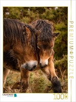 Calvendo Puzzle Mother And Son | 1000 Pieces, Finished Size 25.2 × 18.9 In (64 ×
