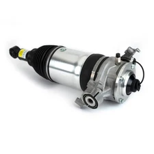 Arnott Industries Rear Right Air Suspension Strut ASE-4375 for Porsche