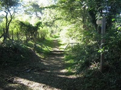 Photo A2 North Downs Way and Saxon Shore Way to Shearins Bungalow Peene  c2010