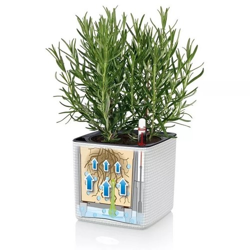 Lechuza self watering planter Cube 13380 Color 14 white flower pot greens herbs - Picture 7 of 7