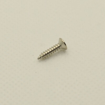 Chrome Steel Guitar Pickguard Screws 2.5mm x 12mm