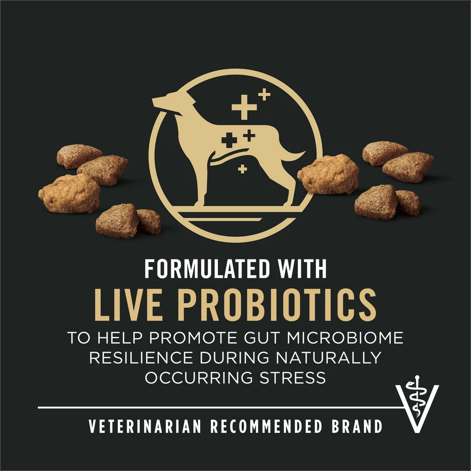 Mezcla salmón y arroz fórmula de alimento seco para perros con probióticos para perros, bolsa de 5 lb Foto 2 de 4