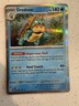 Pokémon TCG Drednaw 44/142 Holo Rare Stellar Crown NM