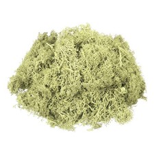 4.6oz Preserved Reindeer Moss, Light Bright Green Decorative Artificial Moss