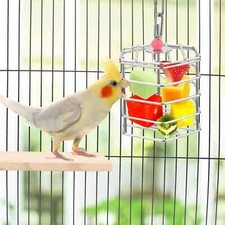 Boîte d'alimentation suspendue pour perroquet mangeoire pour oiseaux en acier inoxydable