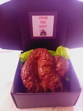 Your The  Dog Poop Poo Huge Chocolate Congratulations Prank Anonymous 