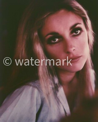 Sharon Tate Elegant Hollywood Actress Photo 1960s 8x10 Glamour Print