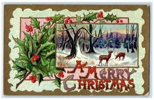 1910 Merry Christmas Deer Winter Holly Berries Embossed Nyack NY Posted Postcard
