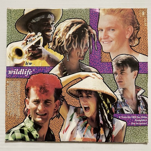 Eurogliders We Will Together / Wildlife Vinyl Record 7” 45 RPM BA 3277 CBS 1985 - Photo 22/24