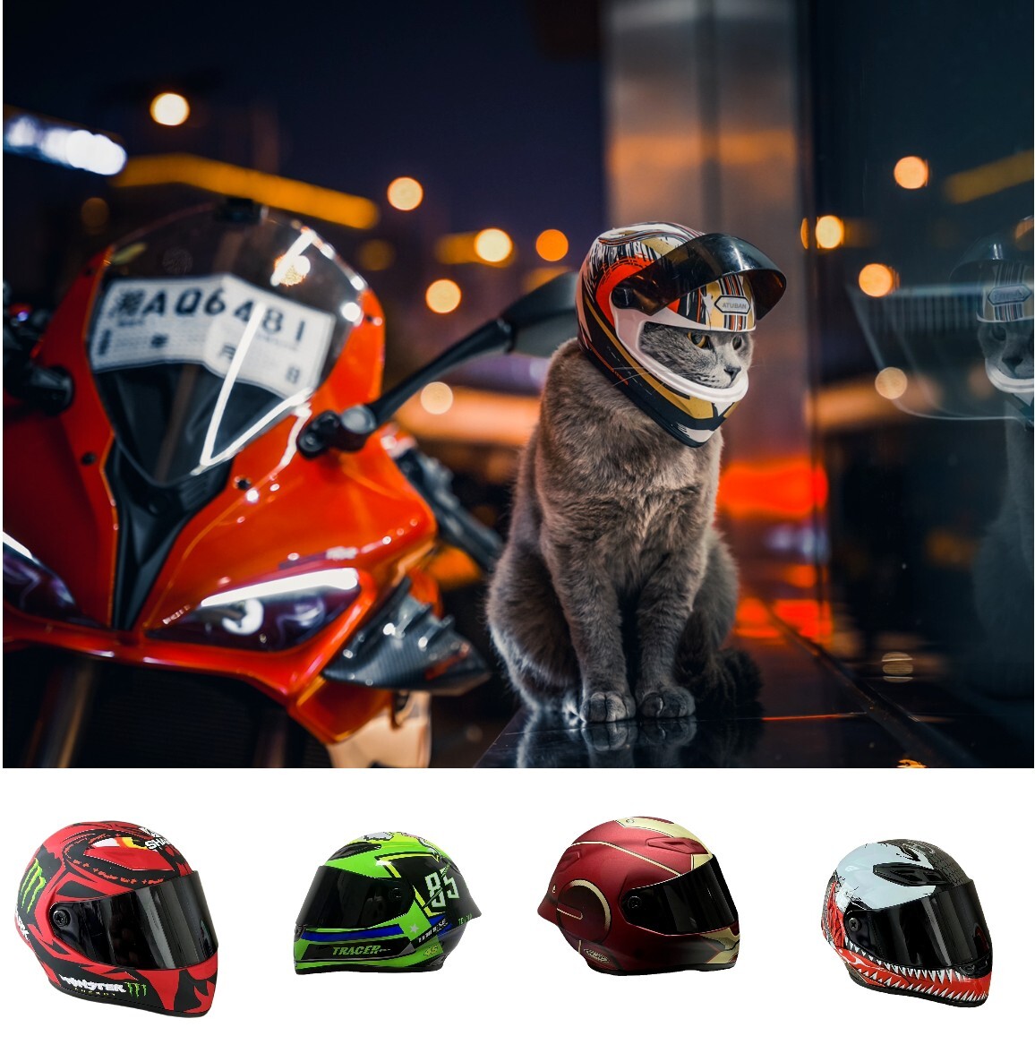 Pet Full Face Motorcycle Helmet Outdoor Motorcycle Bike