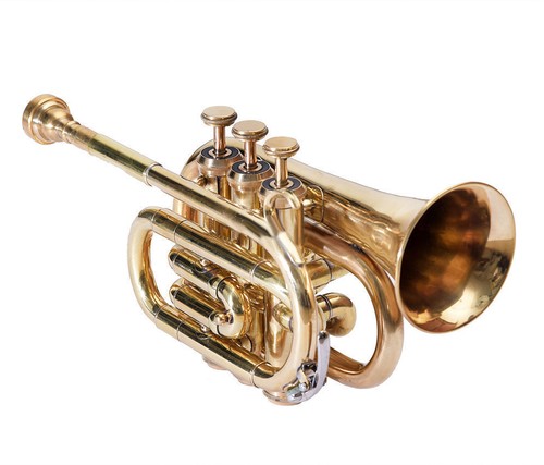 Bugle Flugelhorn Neuf 3 Pistons Laiton Bb, étui Et Embouchure Inclus