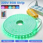 220V LED strip RGB strip strip 5050 tape waterproof fairy lights 1-25m