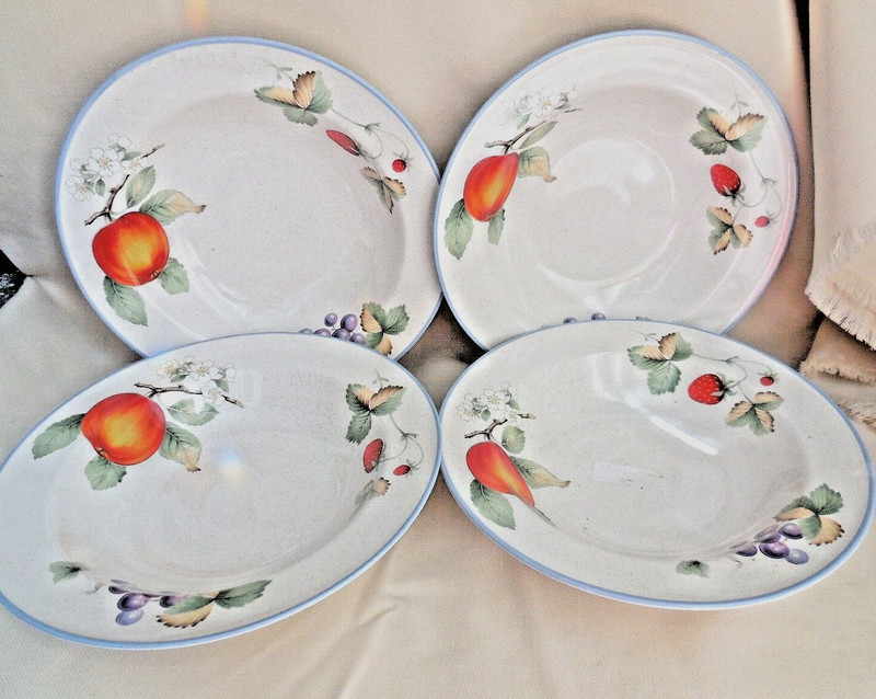 Fruit Savoir Vivre Stoneware "LUSCIOUS" Set 4 Salad Soup Plates Bowls 8"
