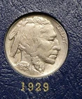 1929  Buffalo Nickel  - Very Fine+  / Extra Fine (S3)