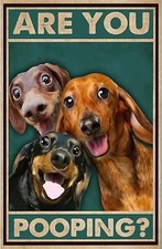 Dachshund Dog Vintage Metal Tin Sign Are You Pooping Sign Bathroom Funny Art ...