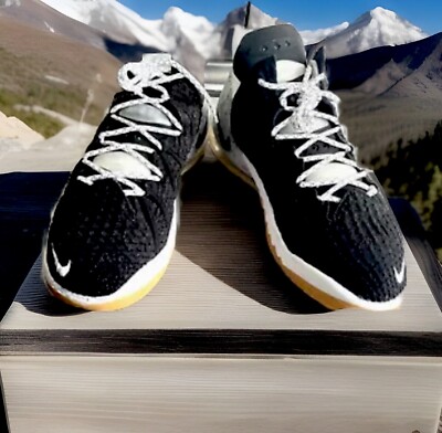 nike lebron 18 black gum