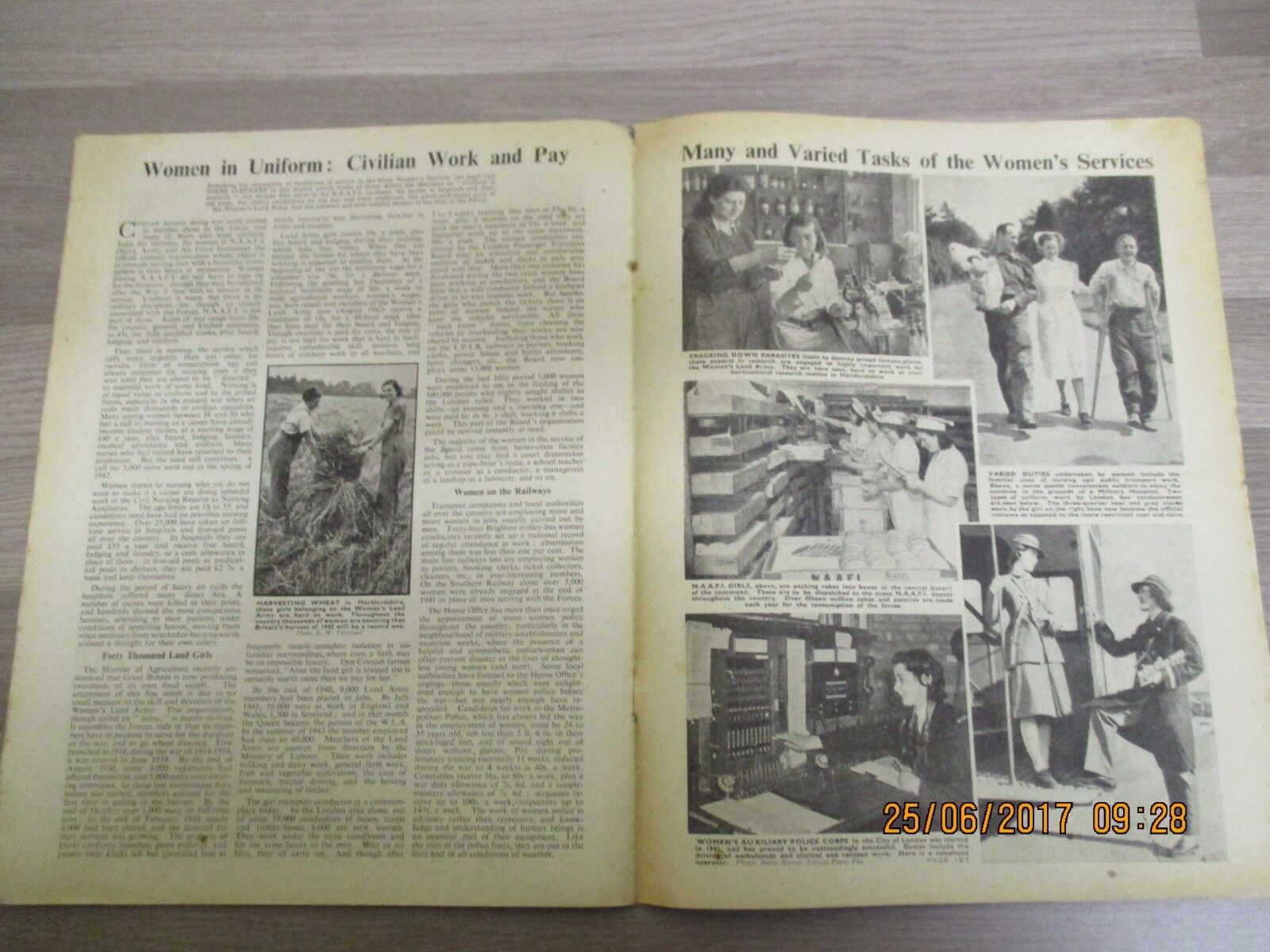 Picture 8 of 11