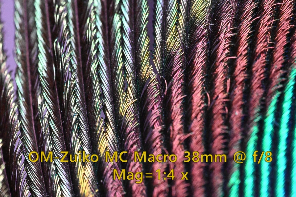 Olympus OM-System Zuiko MC Macro 38mm f/3.5 MF Lens - RMS Mount [Ex++] - Image 3 of 4