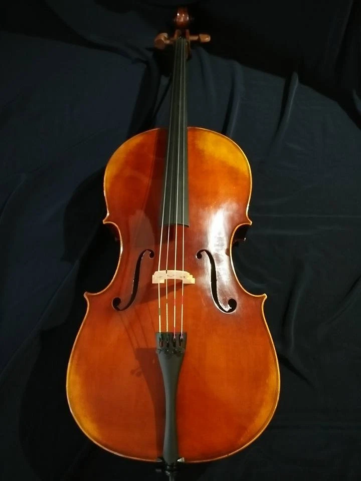 Cannzona C170E Cello - Image 2 of 4