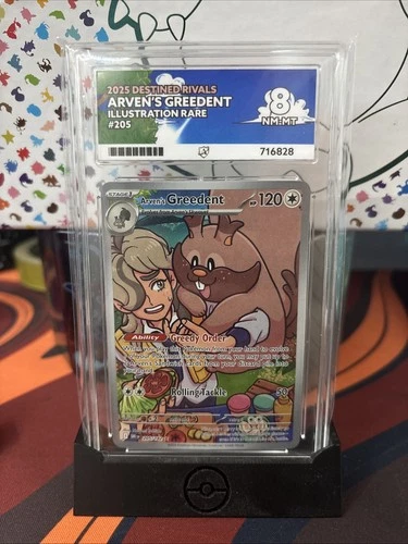 Arvens Greedent Destined Rivals 205/182, ACE 8 Graded Pokemon Card
