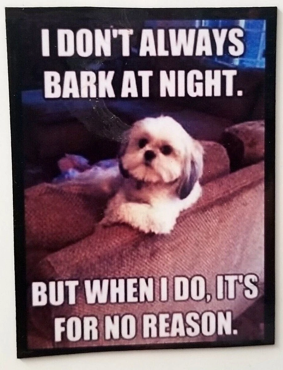 Why Do Dogs Bark At Night For No Reason