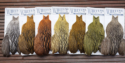 Whiting BRAHMA HEN Cape Silver Badger dyed 12 Farben Auswahl 5 neue Farben!